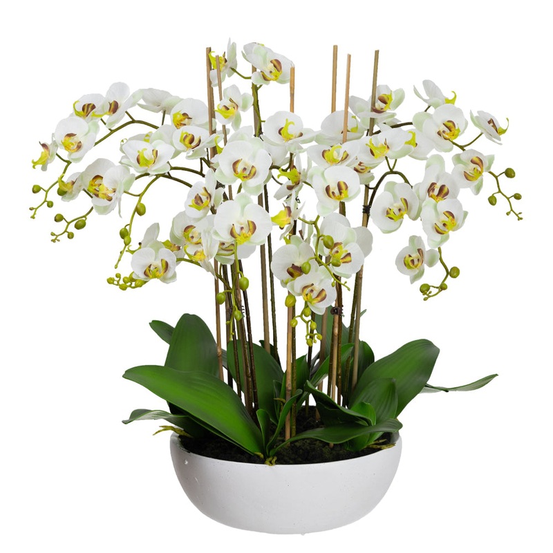Apple Green Phal Orchid White Artificial Faux Plant Decorative Arrangement In Pot