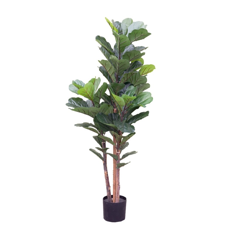 Fiddle Plant 150cm Artificial Faux Plant Tree Decorative Green