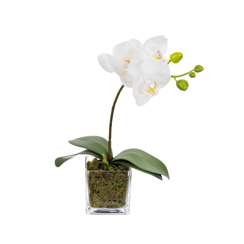 Orchid 32cm White Artificial Faux Plant Decorative Arrangement In Square Glass