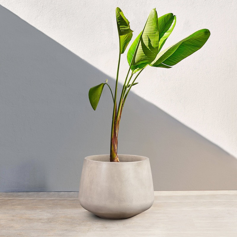 Amethyst Medium Round Lightweight White Concrete Indoor or Outdoor Planter in white By Armen Living