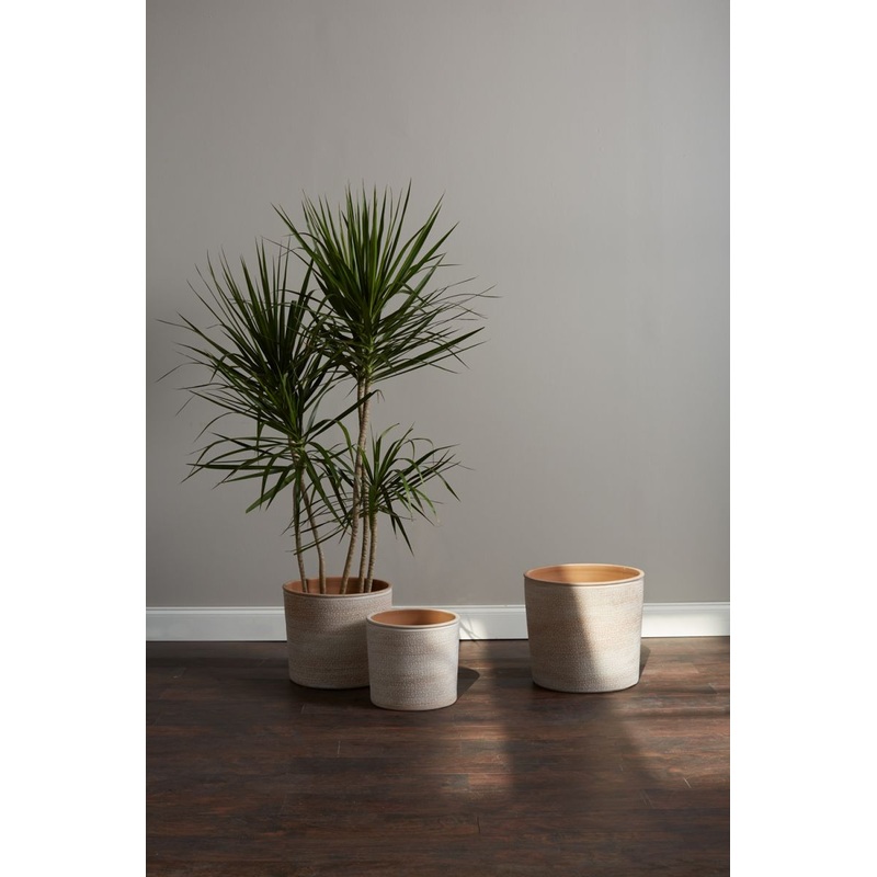 Aleppo Pot By Accent Decor