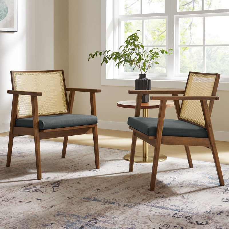 Thera Vegan Leather and Cane Accent Armchairs Set of 2 by Modway