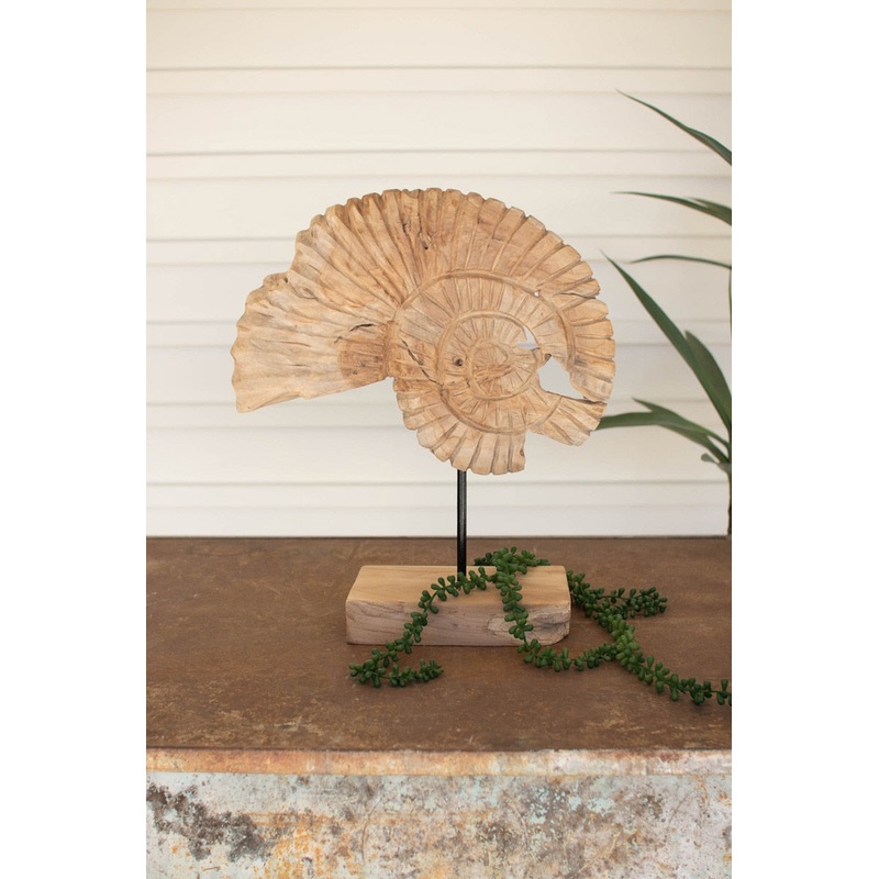 Teak Nautilus Shell On A Stand By Kalalou