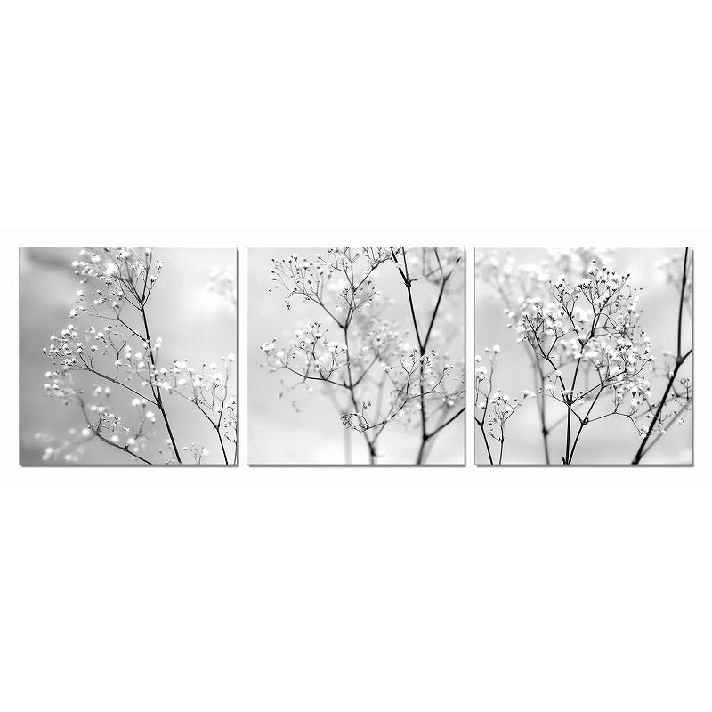 24" Canvas 3 Panels Photo By Homeroots