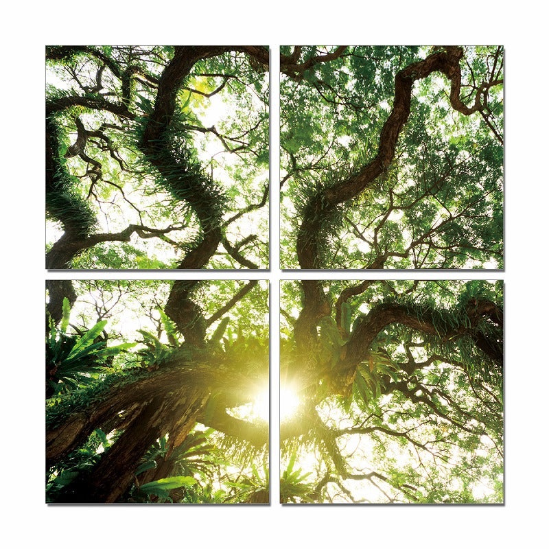 24" Canvas 4 Panels Color Photo By Homeroots