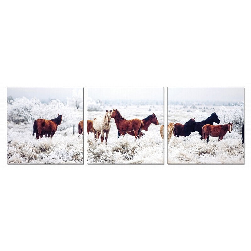 24" Multicolor Canvas 3 Horizontal Panels Horses Photo By Homeroots