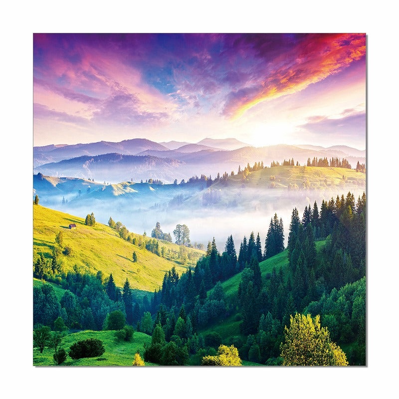 47" Canvas Color Glory Photo By Homeroots