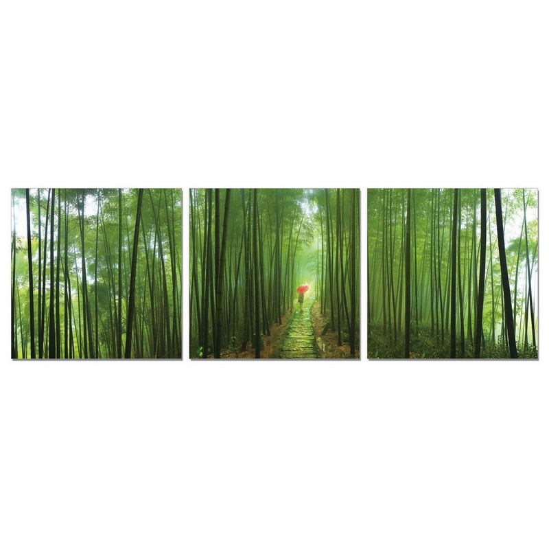 24" Canvas 3 Panels Forest Color Photo By Homeroots
