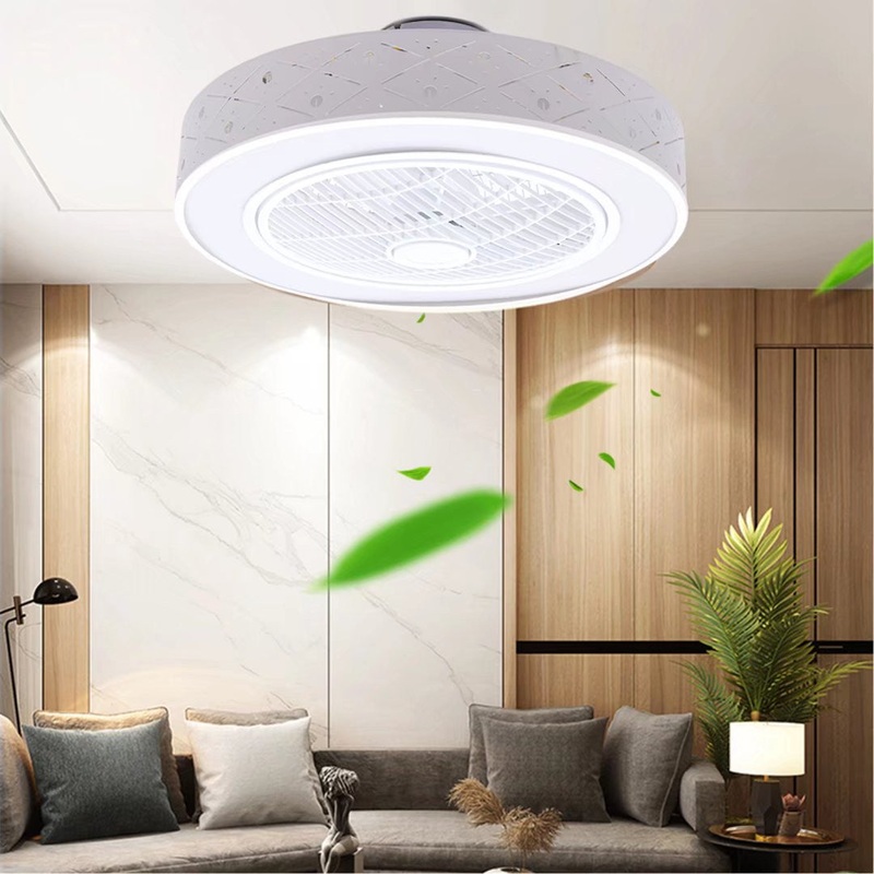 Contemporary Ceiling Ceiling Fan and Light By Homeroots