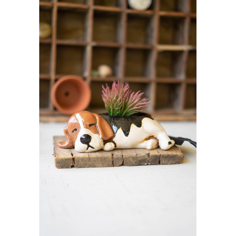 Ceramic Beagle Planter (Min 2) By Kalalou