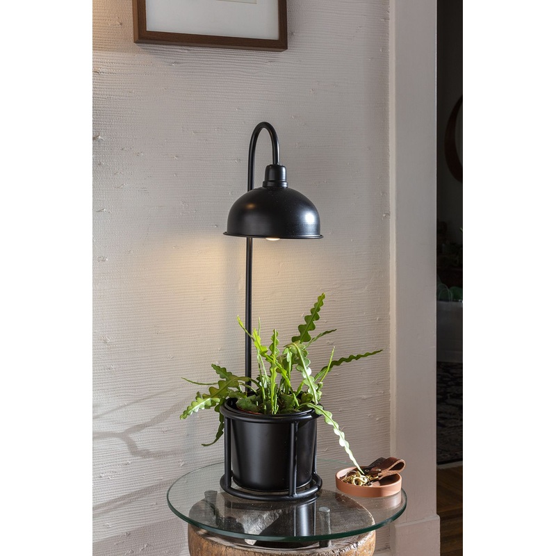 Kira Grow Light Plant Stand 8" x  28" By Accent Decor