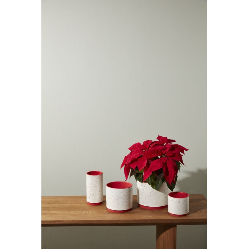Leavenworth Pot 8.75" x  7" By Accent Decor