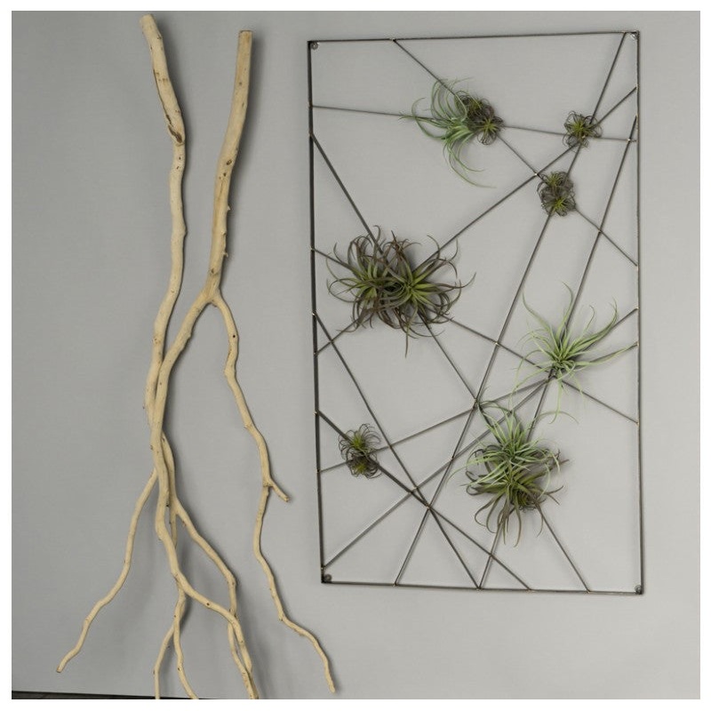 Gold Leaf Design Group Intersect Wall Art With Tillandsia Mix