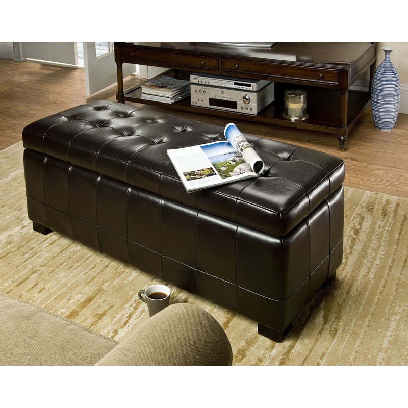 Safavieh Large Manhattan Storage Bench