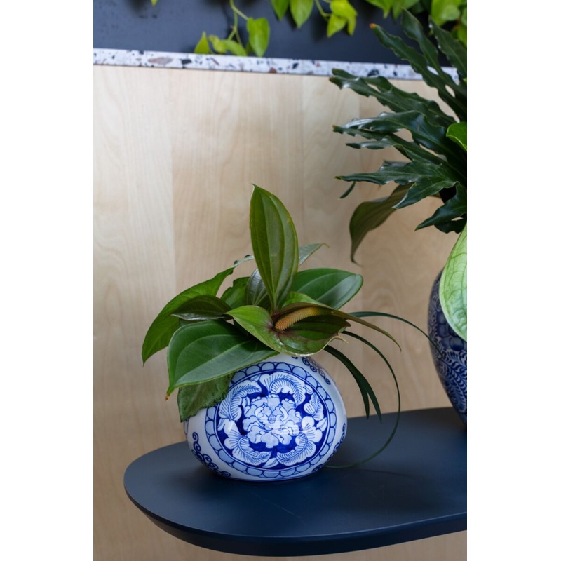 Eleanor Vase 6.25"x 4.75" By Accent Decor