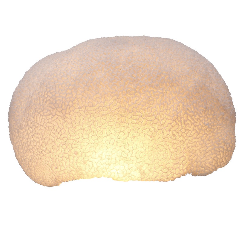 A&B Home Ctenella Coral LED Shade Accent