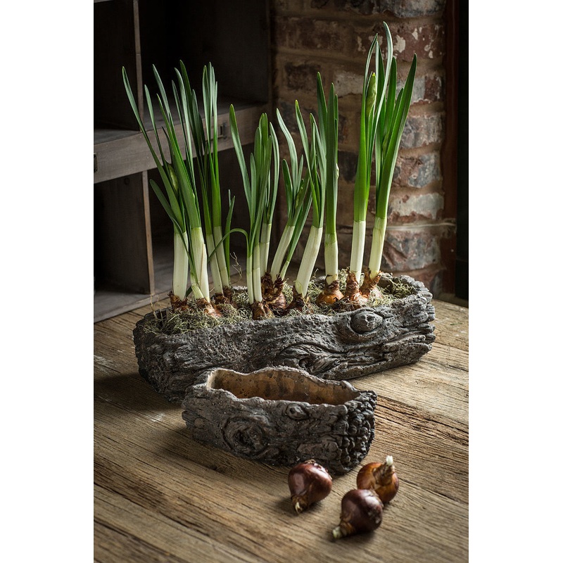 Vagabond Vintage Cement Log Planter - Set of 2