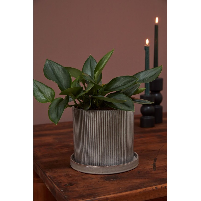 Curio Pot with Saucer 7.5"x 6.75" By Accent Decor