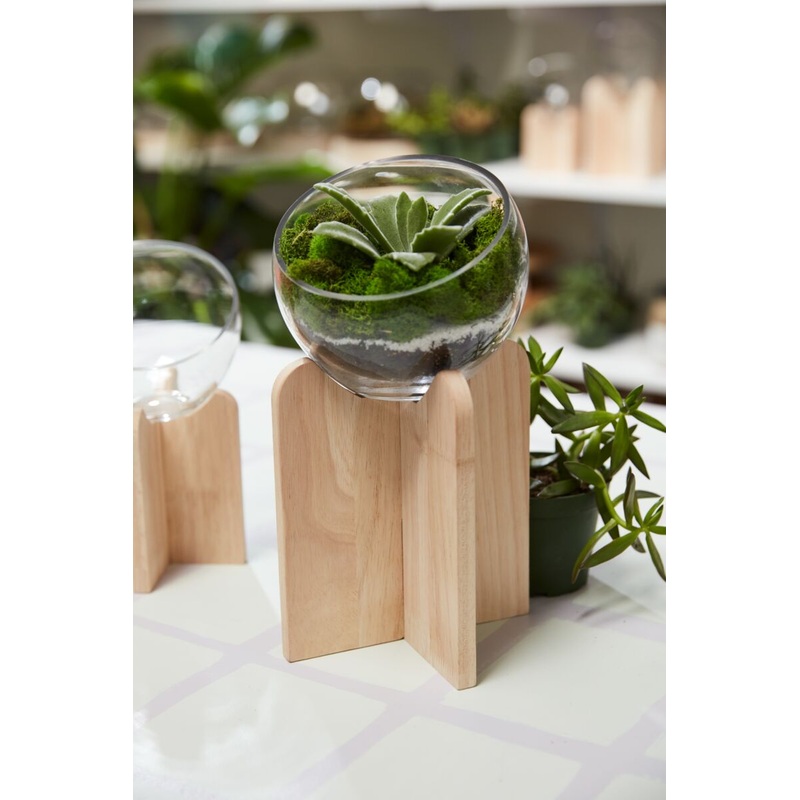 Gazer Terrarium 5.5"x 12" By Accent Decor