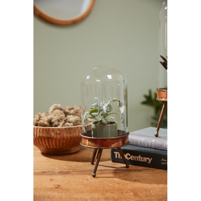Historic Cloche Stand 5"x 10.75" By Accent Decor