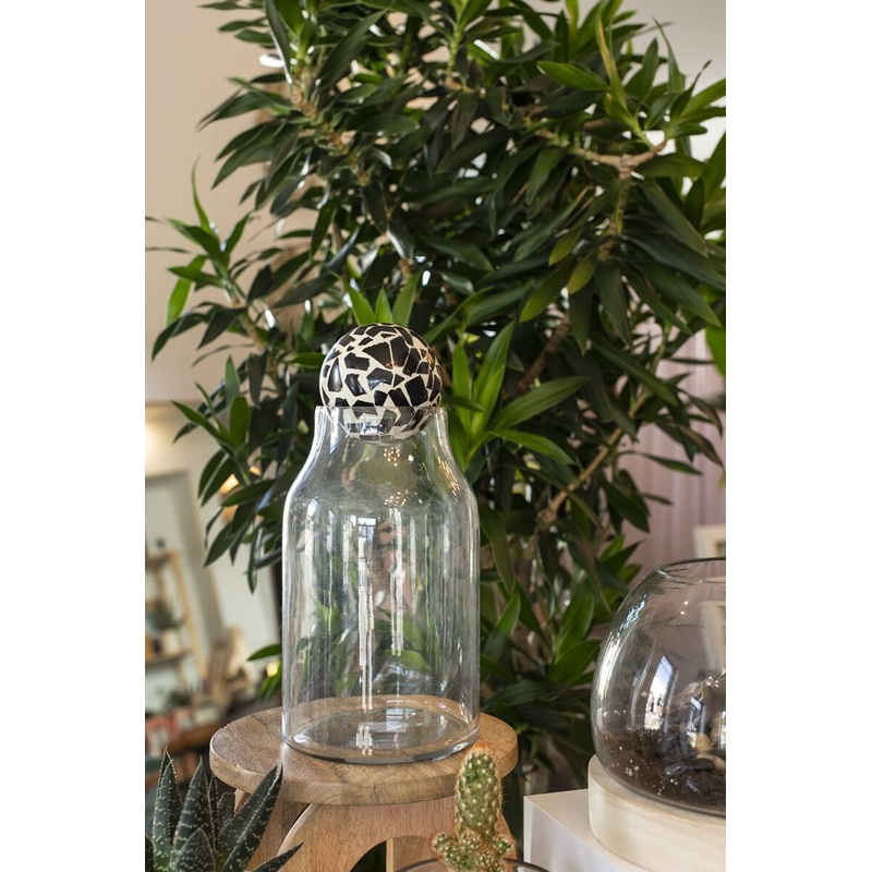 Rory Terrarium 5.5"x 12" By Accent Decor